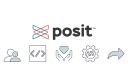 What is Posit Team?
